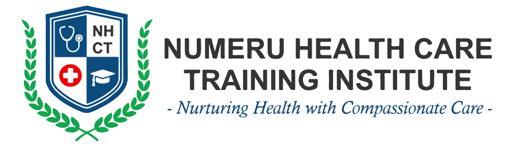 Numeru Institute Logo
