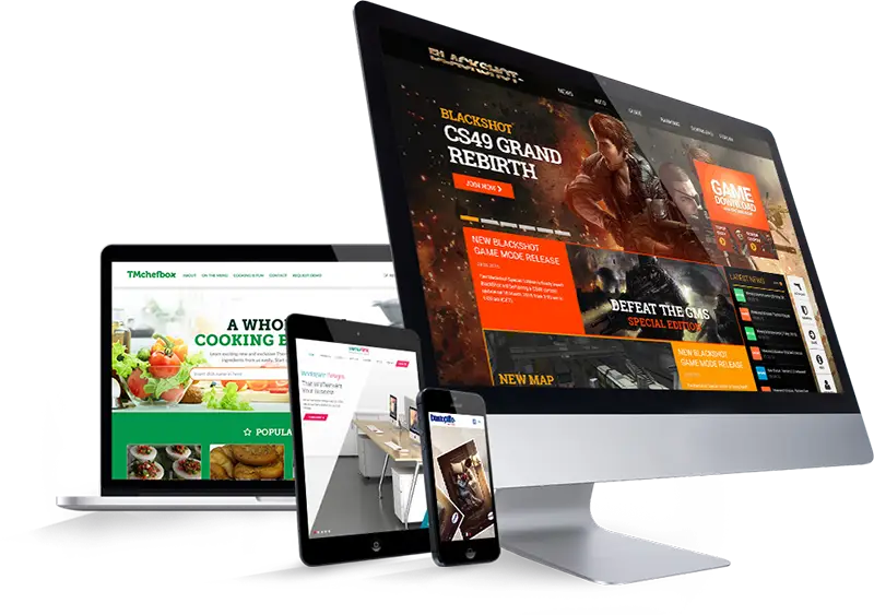 Website Design & Development