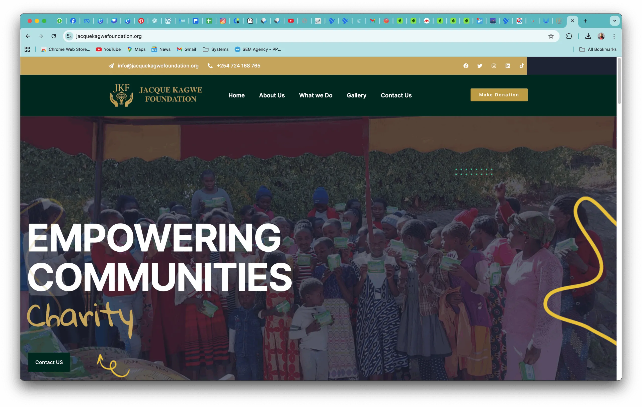 A non-profit website to raise awareness and support for the foundation's causes.